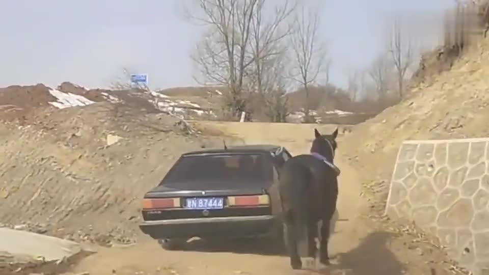 行车记录仪实拍：当年村里的第一辆桑塔纳，看不懂司机的操作！