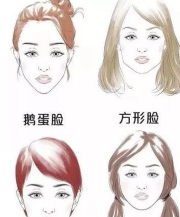 你是什么样的脸型就适合什么样的发型