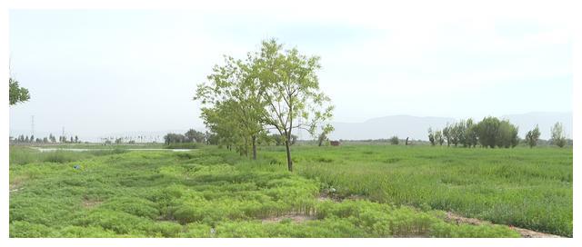 级自然保护区(甘州段)实验区及张掖国家湿地公园恢复重建区部分重合