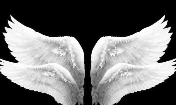 十二星座专属魔幻翅膀摩羯座的暗黑魔法双鱼座的孔雀之翼