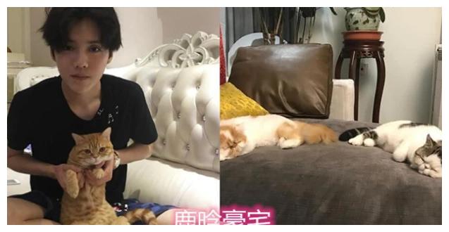 走进鹿晗关晓彤的豪宅,家里有木人桩健身房,户外环境宛如仙境