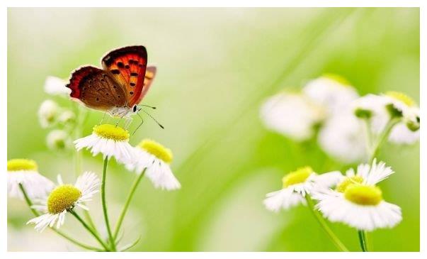 怎么让自己变得心胸宽广 b38c-kavypmq5753133.jpg