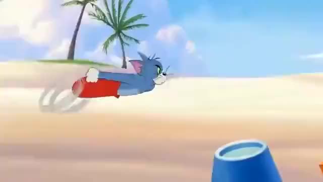 呆萌猫咪在海滩追逐老鼠,结果被狗狗吓得一溜烟儿跑书上真逗