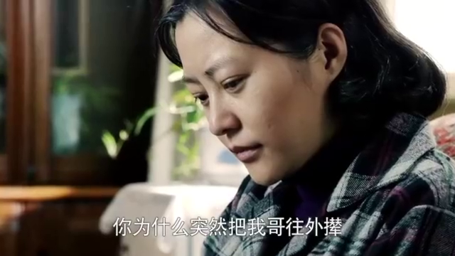 情满四合院:秦淮茹决定好了要和傻柱离婚,心痛的不得