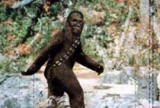 历史上对于野人的记载亲历者证明它们真实存在过