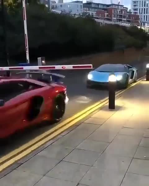 自从买了兰博基尼，停车费都省下