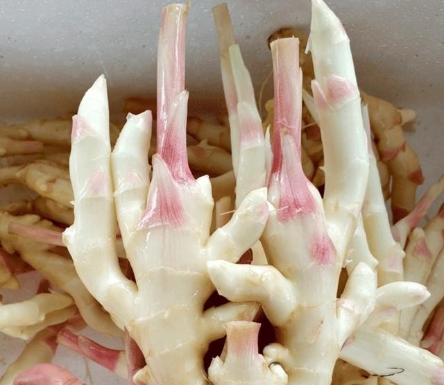 仔姜老姜生姜板姜区别 哪种姜最适合做菜调味