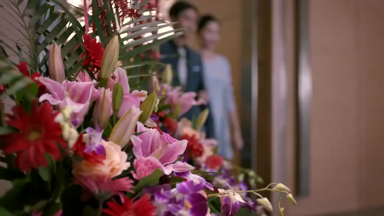 欢乐颂樊胜美得知陈总女儿生日于是带陈总选裙子和公仔