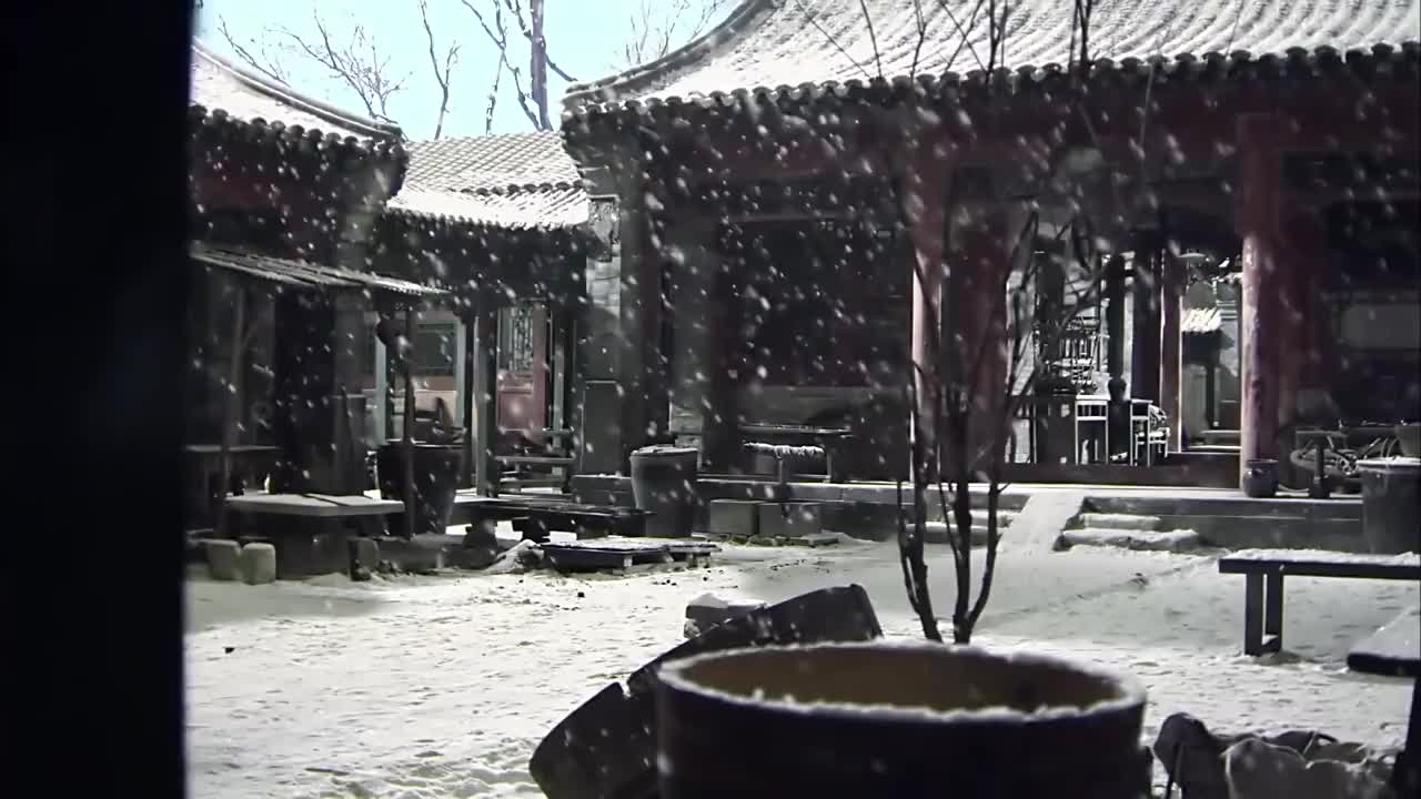 情满四合院转眼到了半年后傻柱独自回家没提网兜