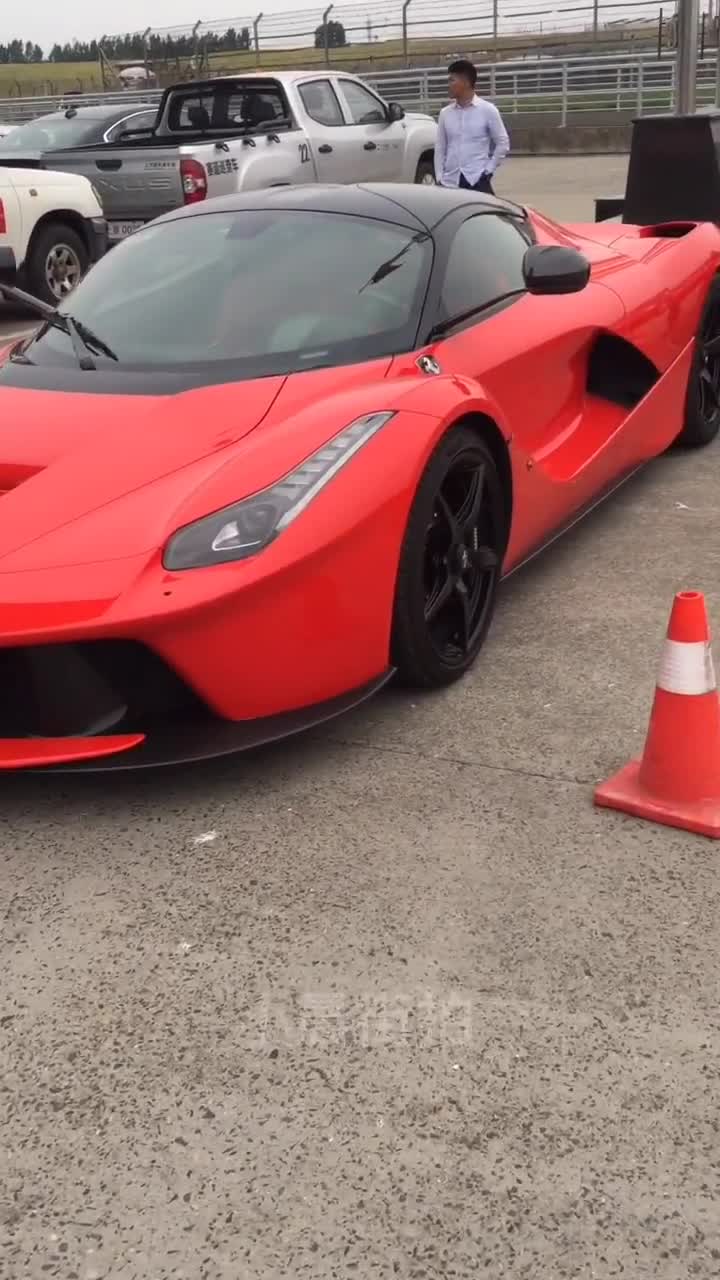 法拉利马王