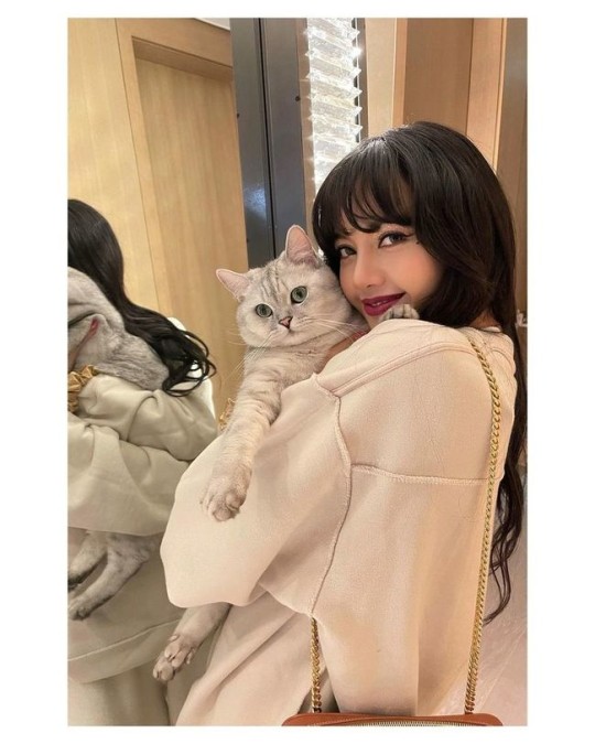 成员lisa昨天在sns留言"with my baby louis"并发布了与宠物猫的合影