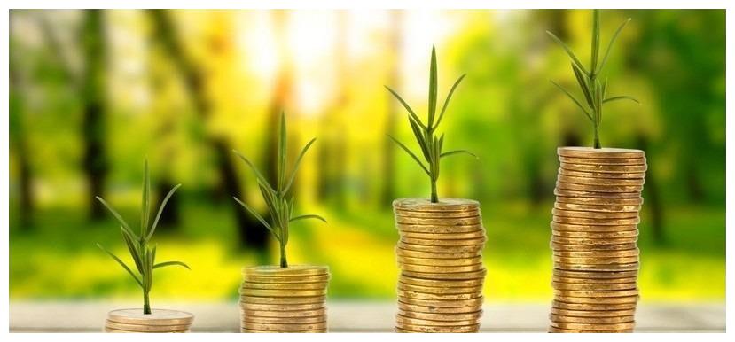 83,95年生的属猪人等到了年底,阴阳互根,日支五行金旺形成金水相生局