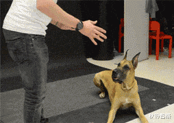 相亲对象带了6个闺蜜来相亲,一共吃了我40万!休闲区蓝鸢梦想 - Www.slyday.coM 相亲对象带了6个闺蜜来相亲,一共吃了我40万!休闲区蓝鸢梦想 - Www.slyday.coM