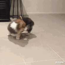 相亲对象带了6个闺蜜来相亲,一共吃了我40万!休闲区蓝鸢梦想 - Www.slyday.coM 相亲对象带了6个闺蜜来相亲,一共吃了我40万!休闲区蓝鸢梦想 - Www.slyday.coM