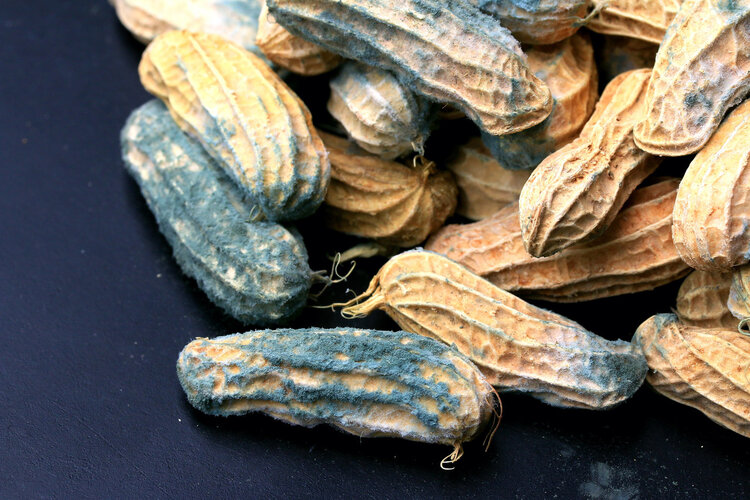 医生不碰的4种食物,却是很多人的最爱,殊不知有致癌风险休闲区蓝鸢梦想 - Www.slyday.coM 医生不碰的4种食物,却是很多人的最爱,殊不知有致癌风险休闲区蓝鸢梦想 - Www.slyday.coM