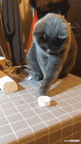 相亲对象带了6个闺蜜来相亲,一共吃了我40万!休闲区蓝鸢梦想 - Www.slyday.coM 相亲对象带了6个闺蜜来相亲,一共吃了我40万!休闲区蓝鸢梦想 - Www.slyday.coM