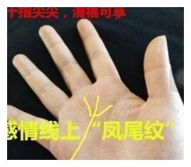 凤尾纹的女人手相,婚姻幸福,持家有道,得之女子可旺三代