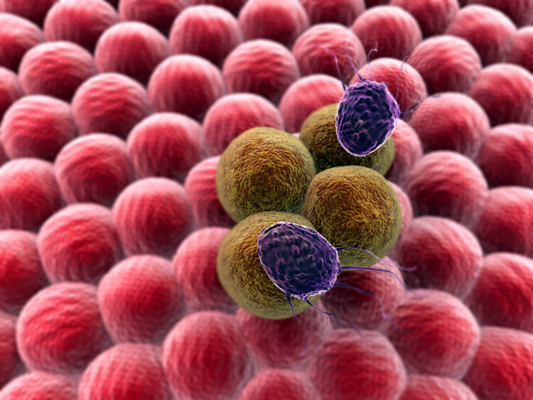 癌细胞“杀死”患者后,自己也会死亡,为什么它要这样做?休闲区蓝鸢梦想 - Www.slyday.coM 癌细胞“杀死”患者后,自己也会死亡,为什么它要这样做?休闲区蓝鸢梦想 - Www.slyday.coM