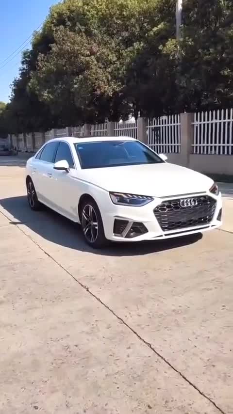 新款奥迪A4L豪华动感型