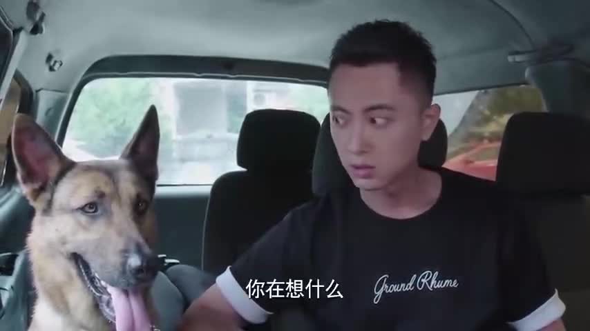 警犬来啦逃犯藏在水沟以为安全警犬嗅到味道后示警太机智了