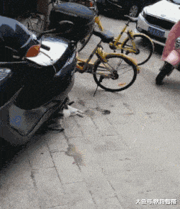 相亲对象带了6个闺蜜来相亲,一共吃了我40万!休闲区蓝鸢梦想 - Www.slyday.coM 相亲对象带了6个闺蜜来相亲,一共吃了我40万!休闲区蓝鸢梦想 - Www.slyday.coM