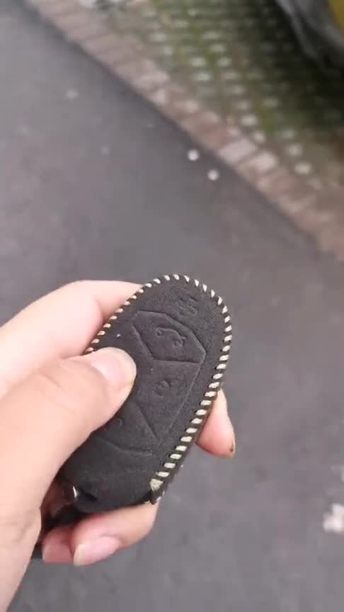 领克03原厂声浪，按下启动键那一刻，不愧是最强国产性能车！