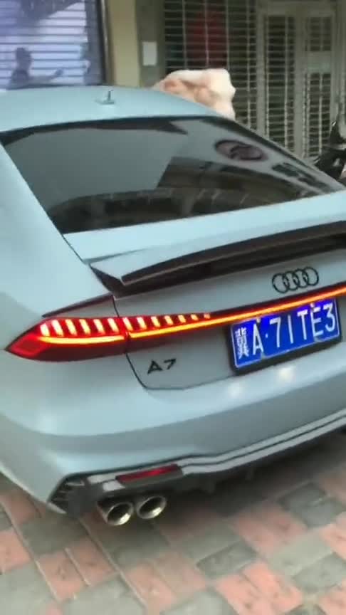 奥迪灯厂的特点，看到这台全新A7，按下解锁键长见识了！