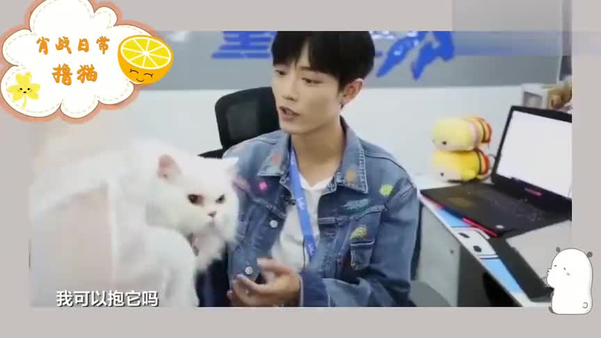 猫弄mono肖战办公室,猫弄mono蔡徐坤×你 肖战也太喜欢猫了吧,撸猫的手停不下来,家里的坚果都