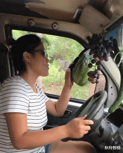 相亲对象带了6个闺蜜来相亲,一共吃了我40万!休闲区蓝鸢梦想 - Www.slyday.coM 相亲对象带了6个闺蜜来相亲,一共吃了我40万!休闲区蓝鸢梦想 - Www.slyday.coM