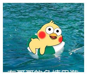 表情包:我是哥哥鱼塘里的一条鱼