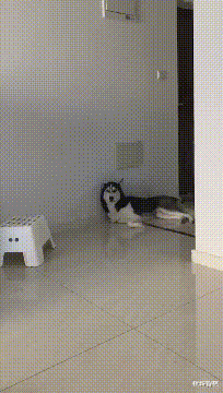 相亲对象带了6个闺蜜来相亲,一共吃了我40万!休闲区蓝鸢梦想 - Www.slyday.coM 相亲对象带了6个闺蜜来相亲,一共吃了我40万!休闲区蓝鸢梦想 - Www.slyday.coM