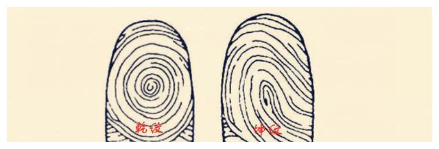 "10个斗纹富,10个簸箕纹穷",真是如此嘛