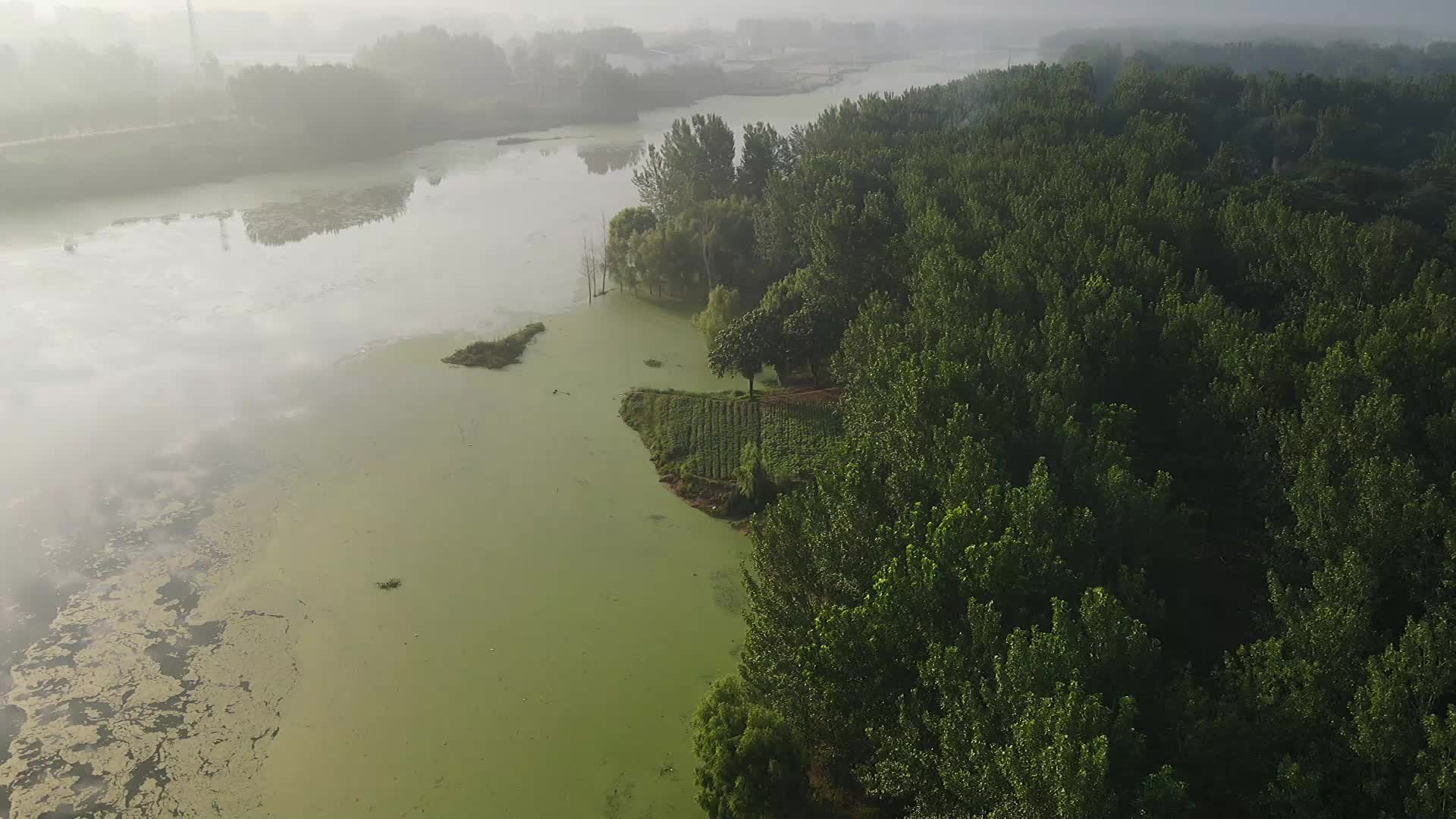 沙颍河湿地,河南省周口市沈丘县东李营村