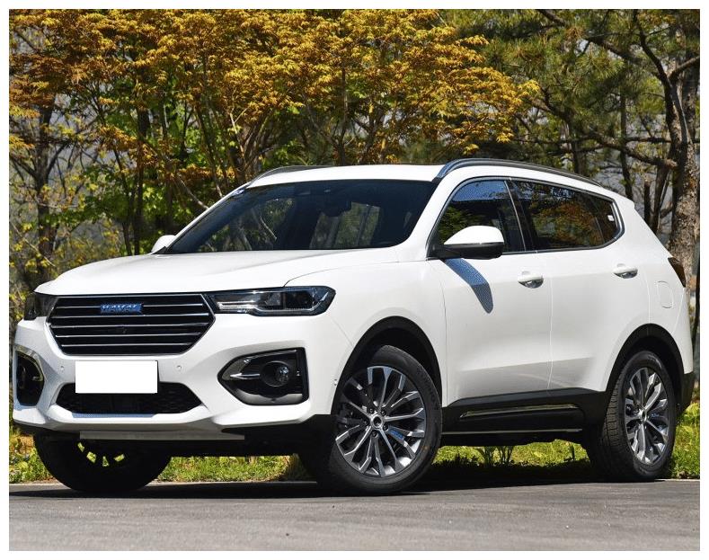 豪华车排名2020奇瑞_2020汽车行业年度排行榜今天发布(2)