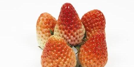但有3个禁忌需了解,否则容易伤身|抗氧化|草莓|食物_新浪新闻