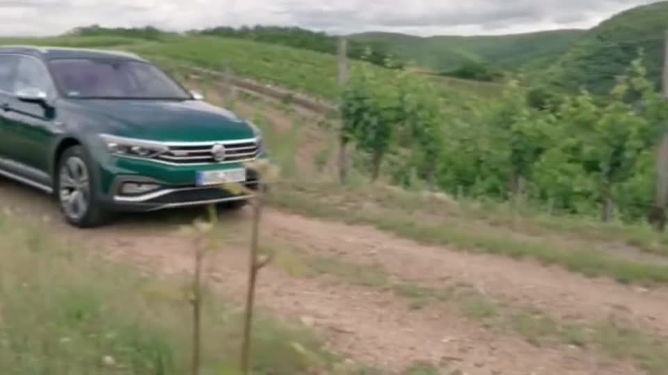 大众帕萨特Alltrack旅行车，超级实用，颜色少见