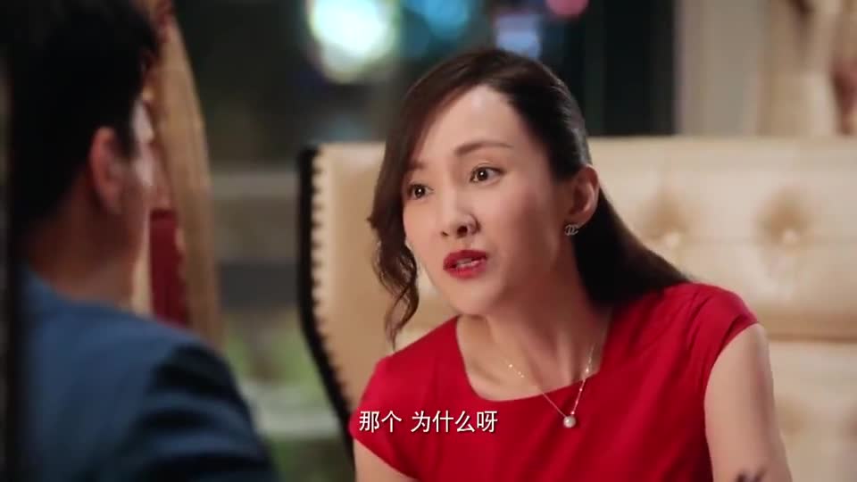 超级翁婿:于娜看到眼前的何欣一副西装革领的样子