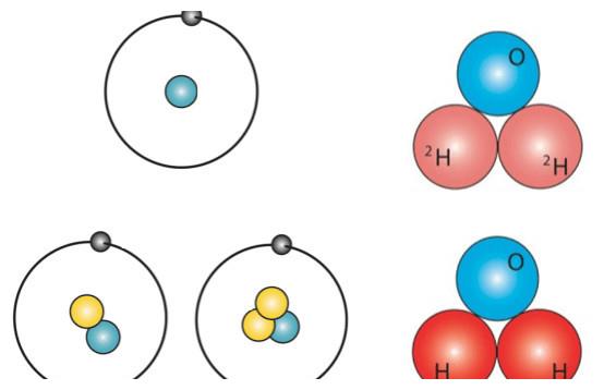 比如氢原子的同位素就有三种 氢(亦写作氕,元素符号为h,氘(元素符号