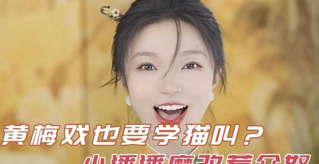 小潘潘让女驸马再一次火了一把戏曲应该改变还是固守唱法