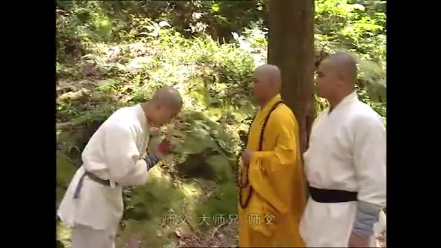 还被感化了 为您推荐: 少林武王:方丈和童大宝是老相识,方丈原来是