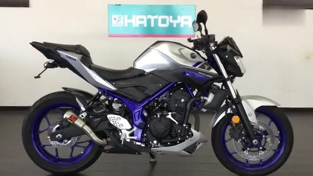 实拍雅马哈海外250车型，和飞致250比比如何？