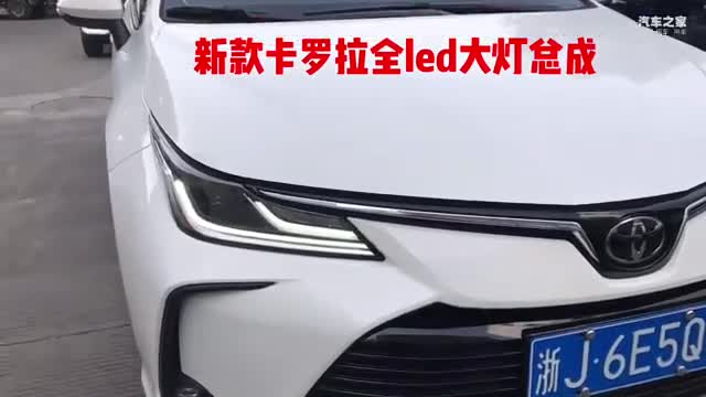 我家小白眼睛大变身卡罗拉细节实拍！