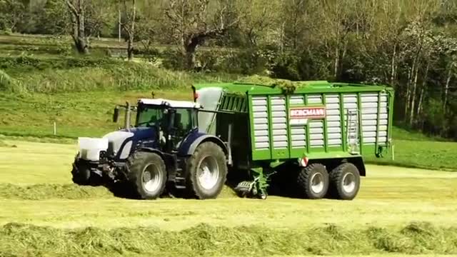 大型的青贮旅行车运输，满到装不下为止