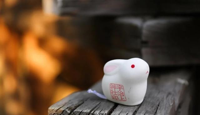 专家讲解：哪些啪啪软件值得长期使用？真实体验深度对比分析