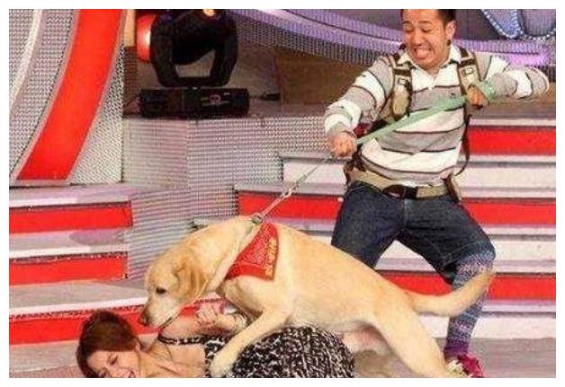 盘点明星意外摔倒,赵丽颖直接飞出去, 柳岩姿势很尴尬.
