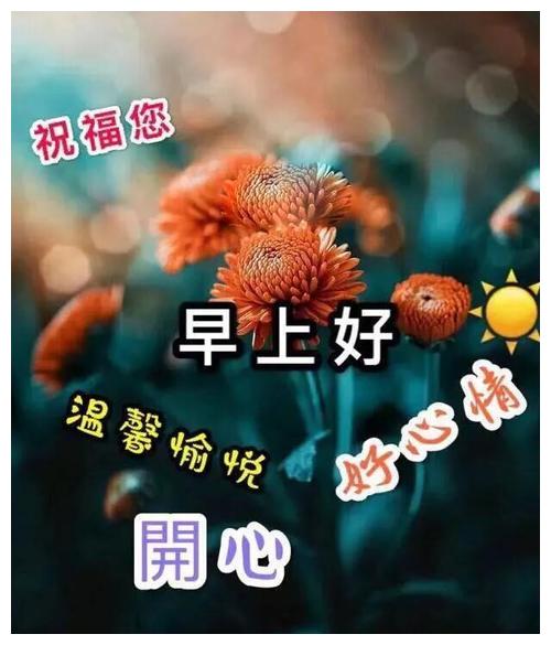 早上好图片大全问候语唯美早安发朋友圈的心情说说语句