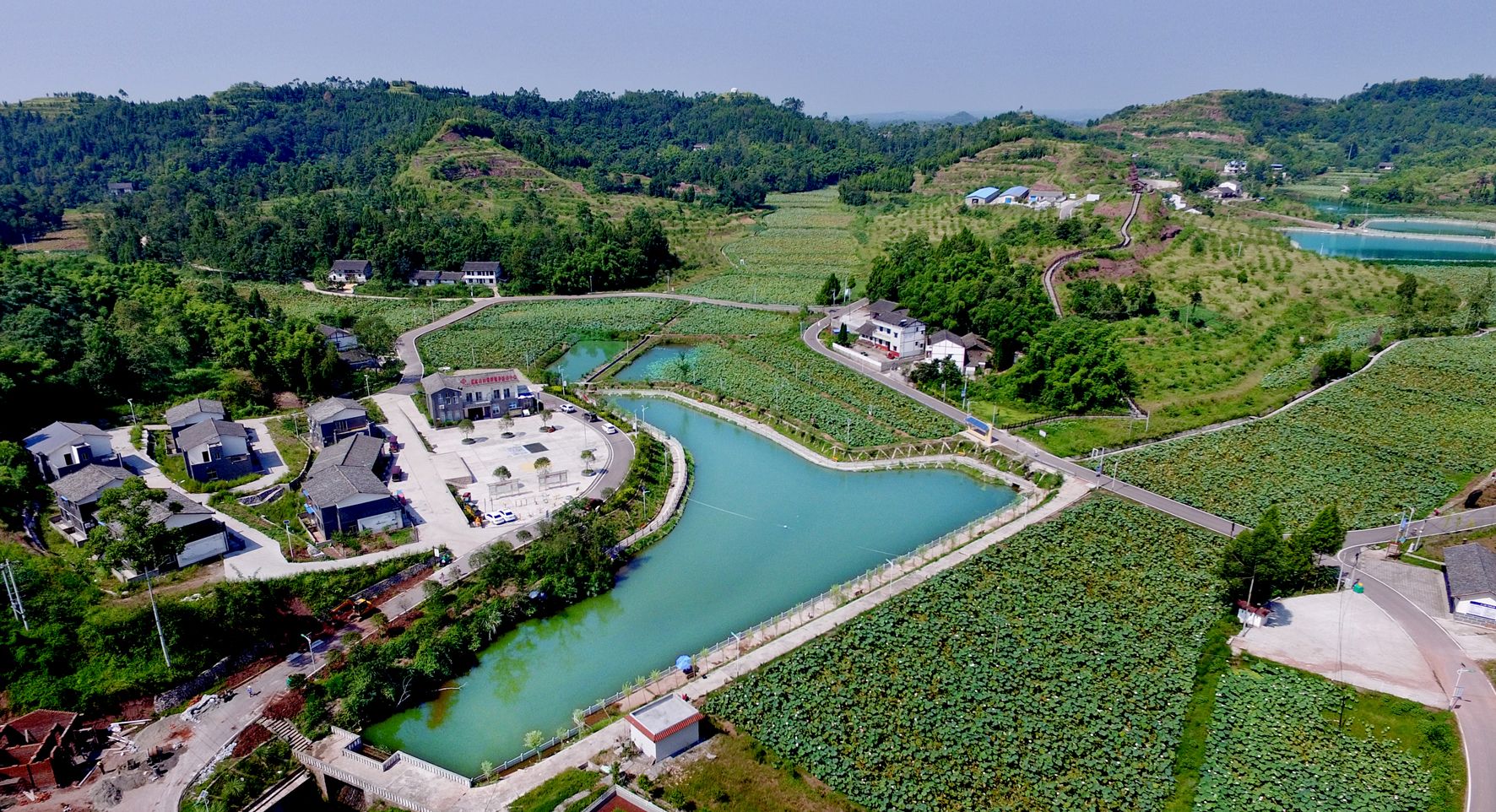 住稻田酒店,听蛙鸣,看星空,广安岳池乡村旅游有模有样