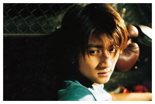 盘点90年代的盛世美颜—沈腾第四,谢霆锋第五,他是第一!