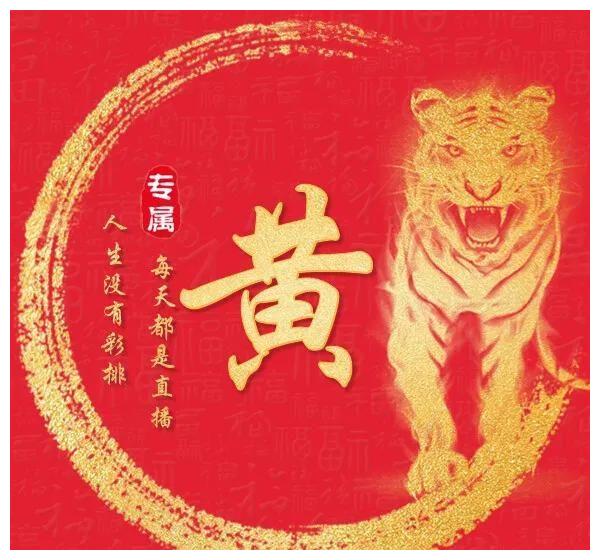 (2022)生肖灵码表,2020年生肖灵码表 2022年生肖虎做本命专属姓氏头像第1期