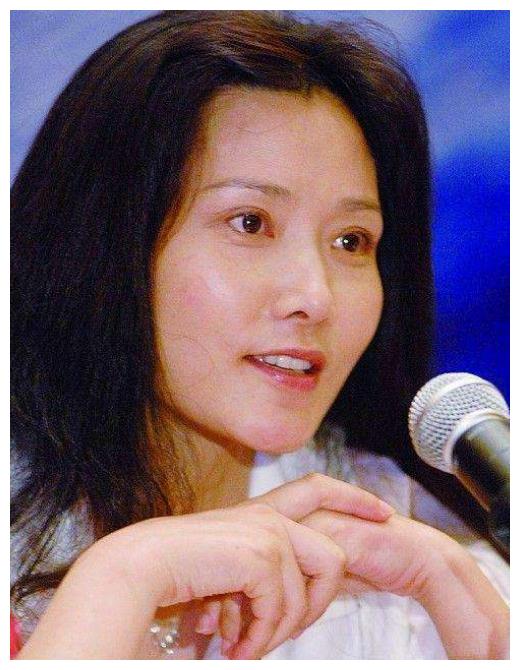 何赛飞主演的电视剧有哪些,何赛飞主演的电视剧有哪些名字